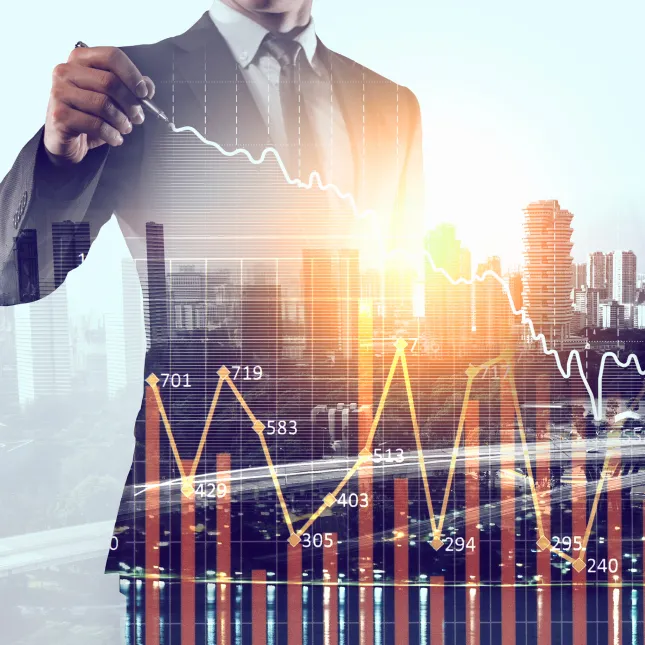 banner it support financial