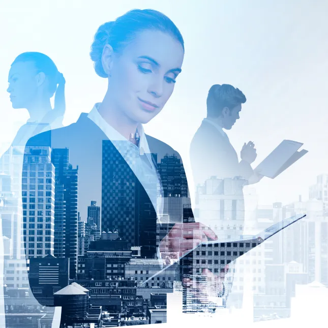 banner it support for law firms